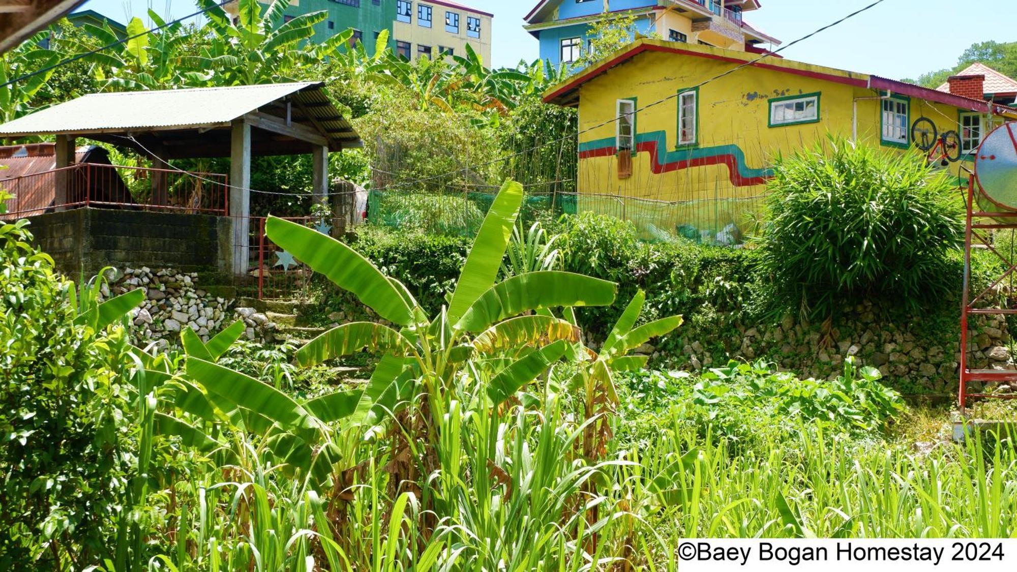 Baey Bogan Homestay ซากาดา ภายนอก รูปภาพ