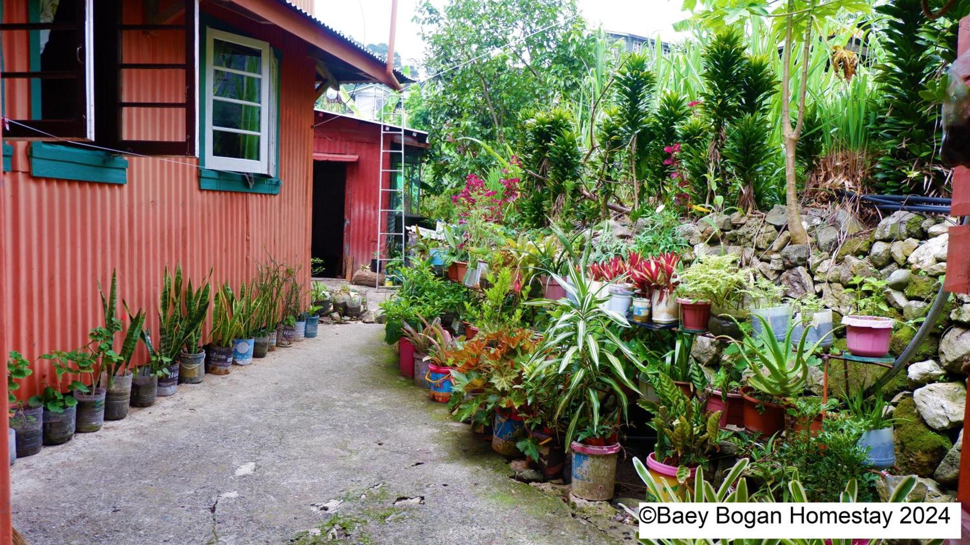 Baey Bogan Homestay ซากาดา ภายนอก รูปภาพ