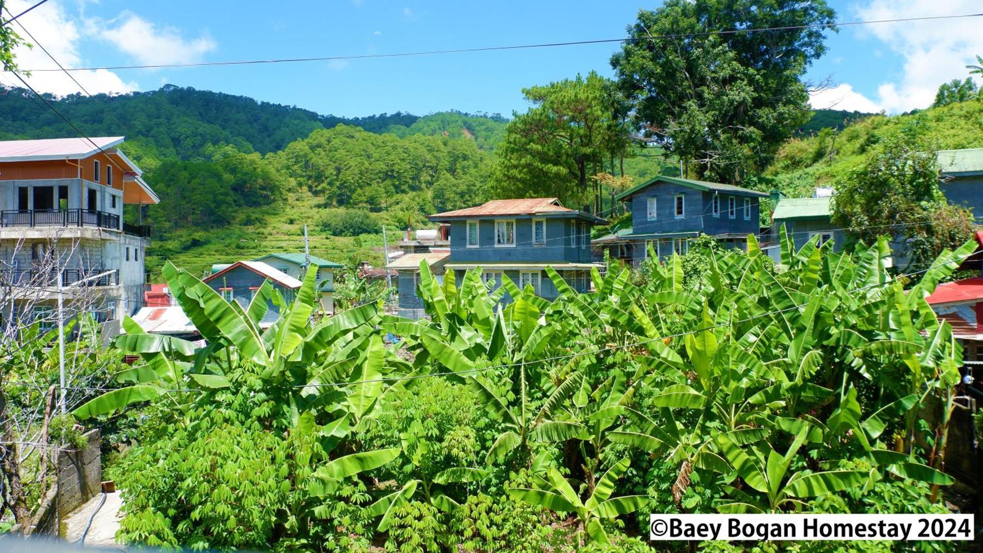 Baey Bogan Homestay ซากาดา ภายนอก รูปภาพ