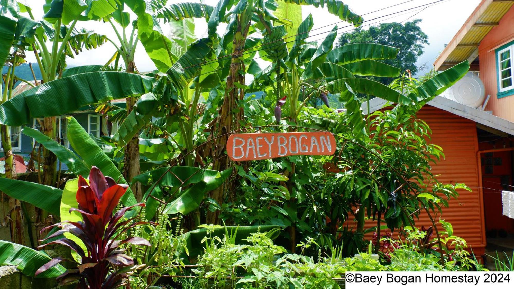Baey Bogan Homestay ซากาดา ภายนอก รูปภาพ