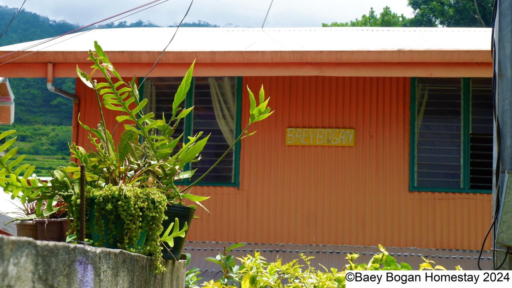Baey Bogan Homestay ซากาดา ภายนอก รูปภาพ