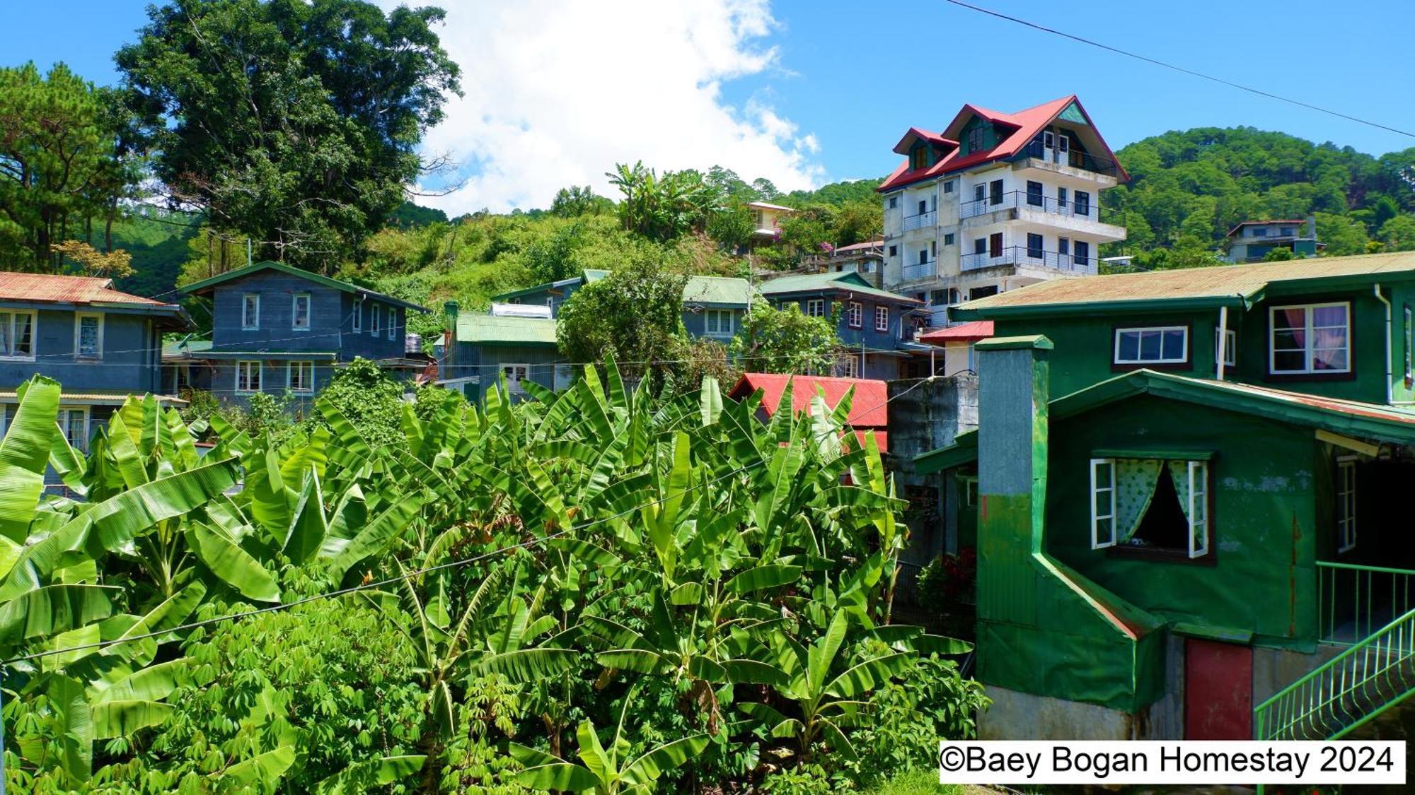 Baey Bogan Homestay ซากาดา ภายนอก รูปภาพ