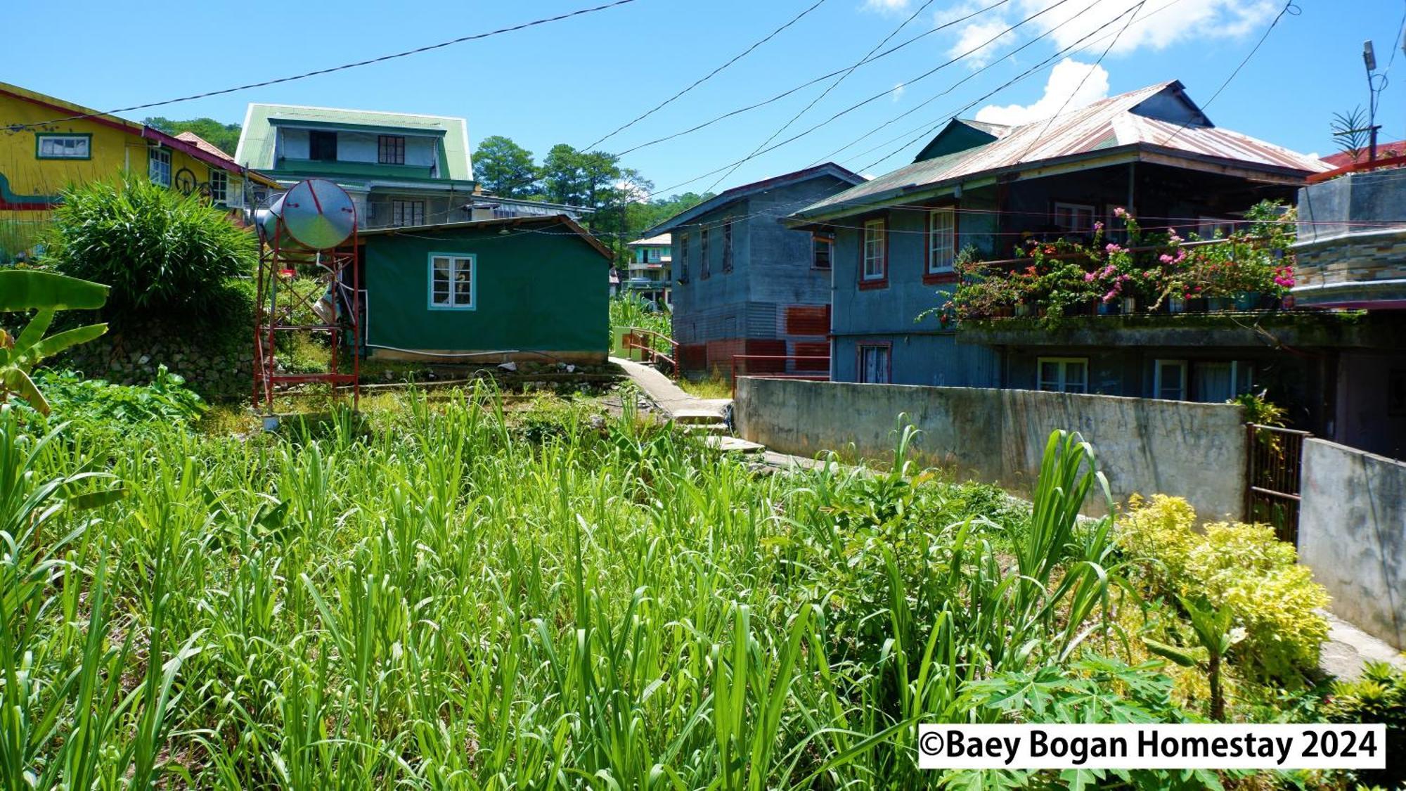 Baey Bogan Homestay ซากาดา ภายนอก รูปภาพ