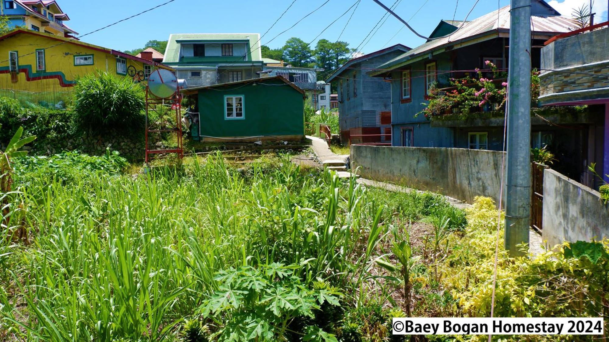 Baey Bogan Homestay ซากาดา ภายนอก รูปภาพ
