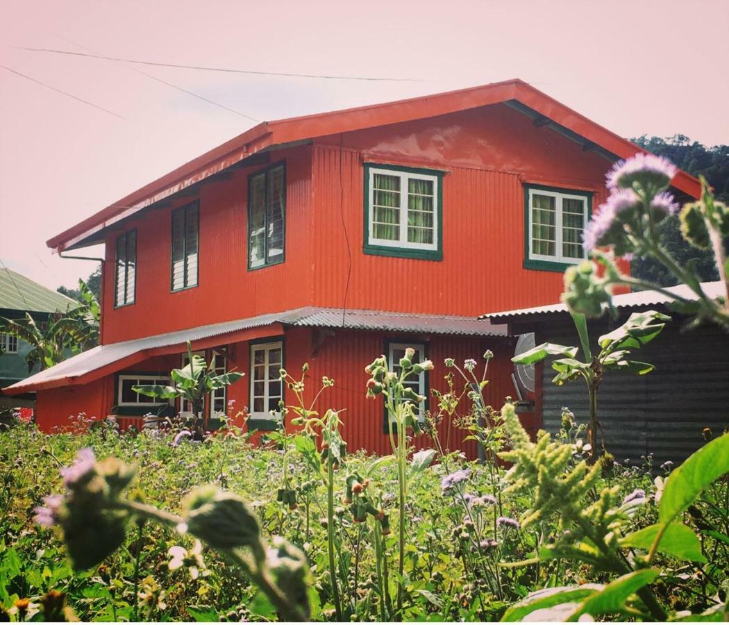 Baey Bogan Homestay ซากาดา ภายนอก รูปภาพ